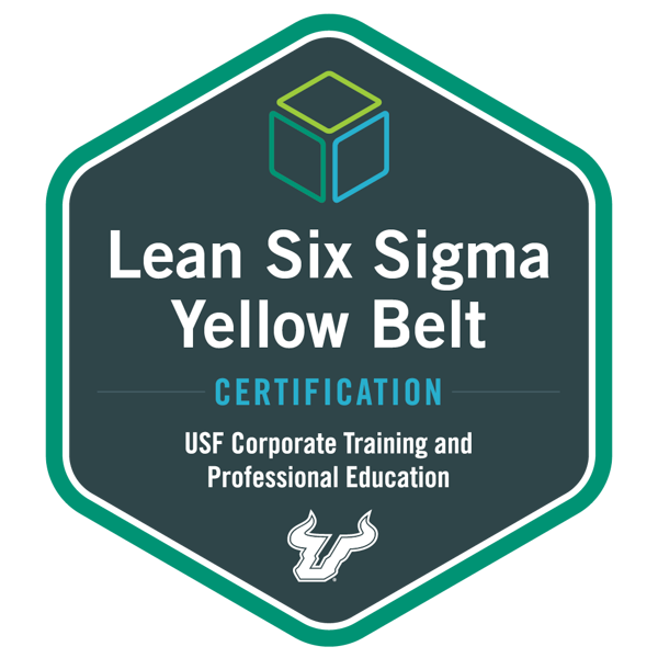 yellowbeltcert